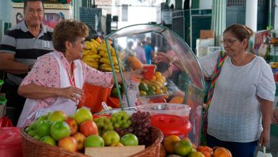 Abastecimiento de alimentos en el país aumentó 9,8 % en marzo de 2025, jalonado por frutas, hortalizas y tubérculos. Foto/Presidencia