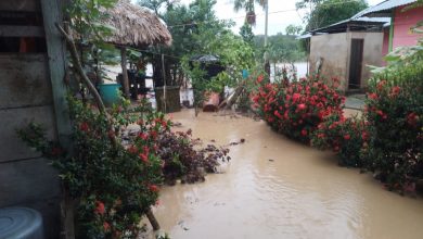 Afectaciones por lluvias en Antioquia. Foto/Dagran