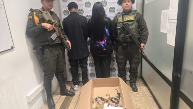 Pareja capturada en el aeropuerto. Foto/ Cornare