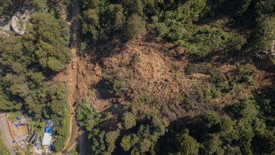 Loma de Los Balsos. Foto/ Alcaldía de Medellín