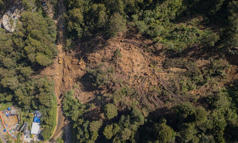Loma de Los Balsos. Foto/ Alcaldía de Medellín