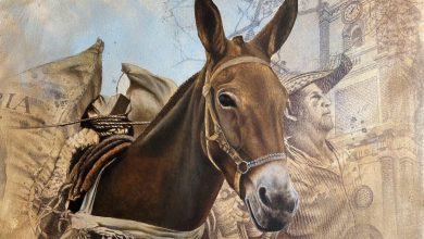 Salón BAT de Arte Popular. Foto/ Fundación BAT