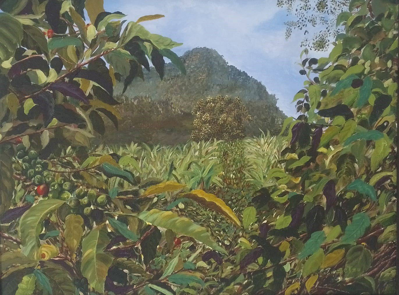 Salón BAT de Arte Popular. Foto/ Fundación BAT