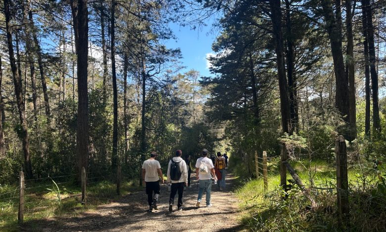 Visitantes al Parque Arví. Foto/ Alcaldía de Medellín
