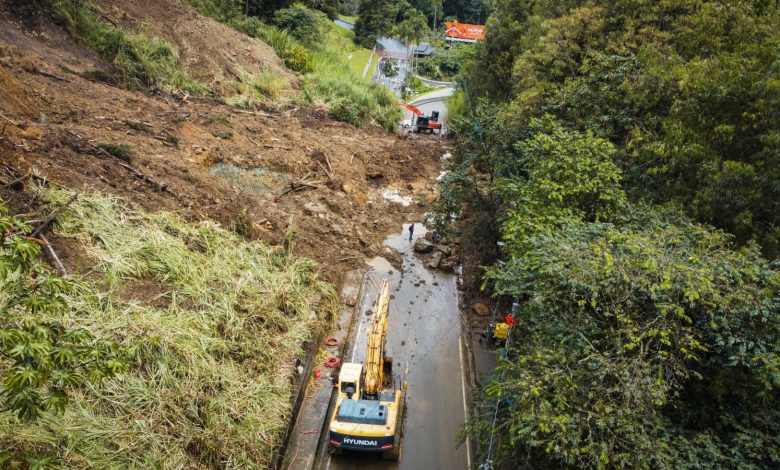 Loma de Los Balsos. Foto/ Alcaldía de Medellín