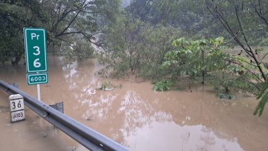 Peñalisa. FOTO/ Cortesía