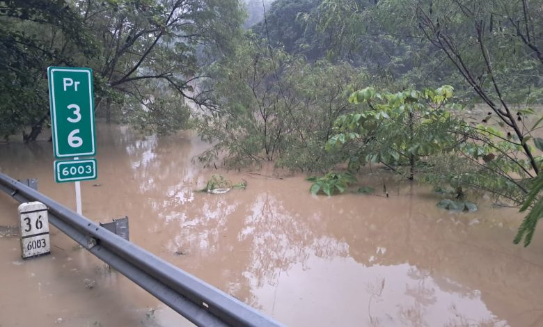 Peñalisa. FOTO/ Cortesía