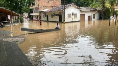Corregimiento Bolombolo de Venecia, Antioquia. Afectado por creciente del Río Cauca. Foto/ Alcaldía local