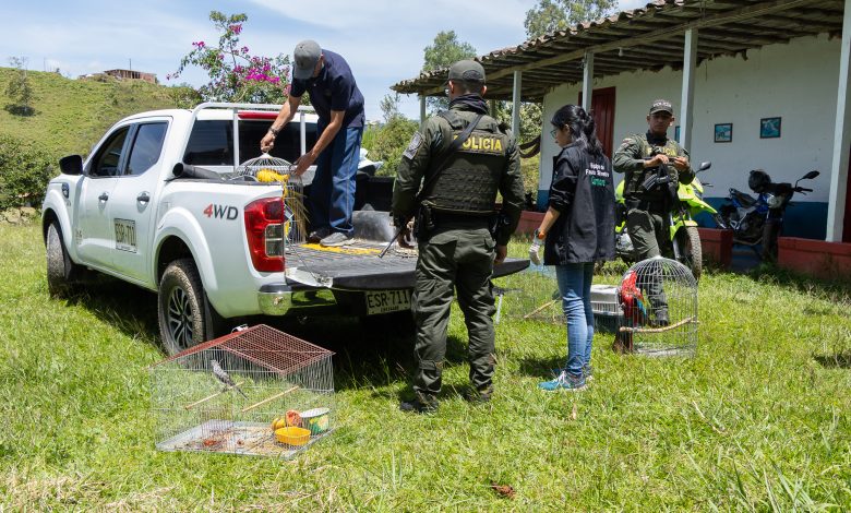 Algunos animales estuvieron más de 10 años encerrados. Noticias de Antioquia. Foto/ Cornare