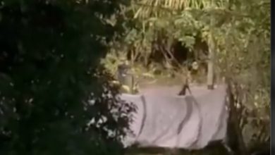 Autoridades rechazan atantado con explosivo en Loreto. Foto/Captura de pantalla