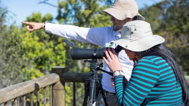 , Medellín y Antioquia serán escenario del Primer Congreso de Turismo Regenerativo de Colombia. Foto/ Alcaldía