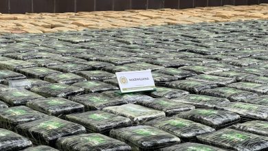 Más de una tonelada de marihuana incautada por la Policía. Foto/ Policía Antioquia