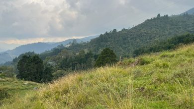 La Estrella adquiere 20,2 hectáreas para conservar el agua y la vida. Foto/ Alcaldía