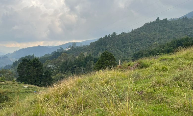 La Estrella adquiere 20,2 hectáreas para conservar el agua y la vida. Foto/ Alcaldía