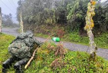 Foto/ Archivo Ejército