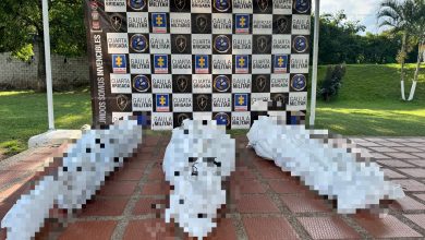 Combates contra las disidencias en San Andrés de Cuerquia. Foto/ Septima División del Ejército