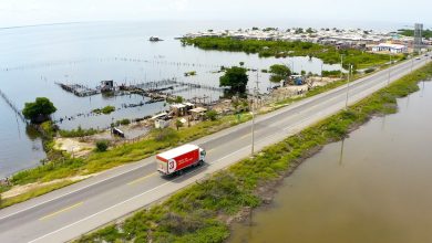La cadena de tiendas alcanza los 26.000 empleos formales. Foto/ Tiendas D1