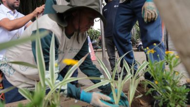 Se trata de un piloto impulsado desde la Secretaría de Medio Ambiente. Foto/Alcaldía