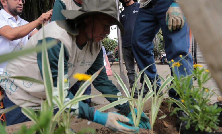Se trata de un piloto impulsado desde la Secretaría de Medio Ambiente. Foto/Alcaldía