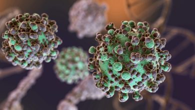 El Virus del Papiloma Humano (VPH) está más cerca de lo que creemos. Foto/ SYNLAB