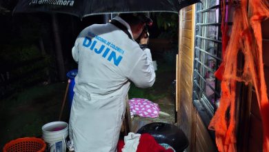 Un hombre le habría quitado la vida porque el animal se subió a una cama. Fotyo/ Alcaldía