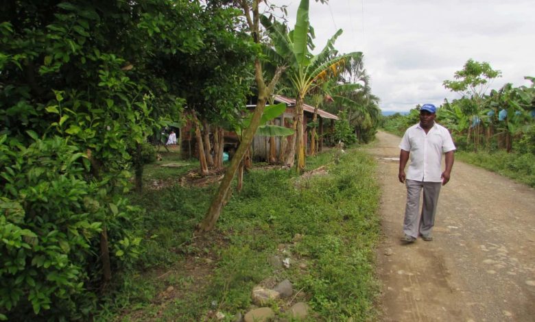 Víctimas de despojo en Turbo llevan su caso ante la CIDH tras más de 20 años sin justicia. Foto/Forjando Futuros