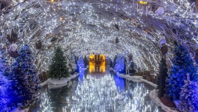 Navidad en el Centro Comercial El Tesoro
