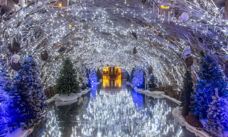 Navidad en el Centro Comercial El Tesoro