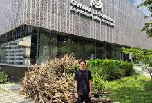 “Leña pal’ monte”: arte, café y raíces que conectan el campo con la ciudad. Foto/ Cámara de Comercio