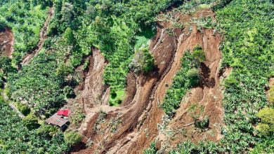 223 personas quedaron afectadas, tras movimiento en masa que cobró la vida de tres personas.