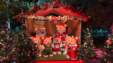 Más de 20 puntos estrategicos del municipio estarán iluminados. Foto/ Alcaldía