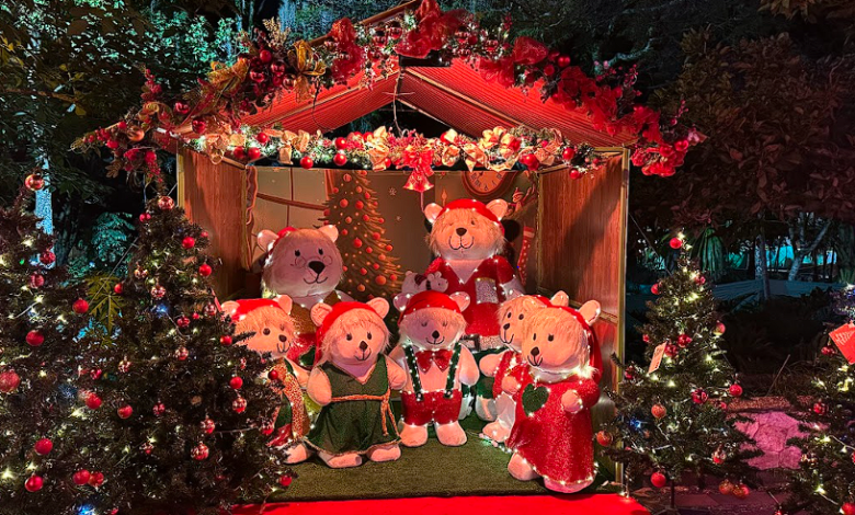 Más de 20 puntos estrategicos del municipio estarán iluminados. Foto/ Alcaldía