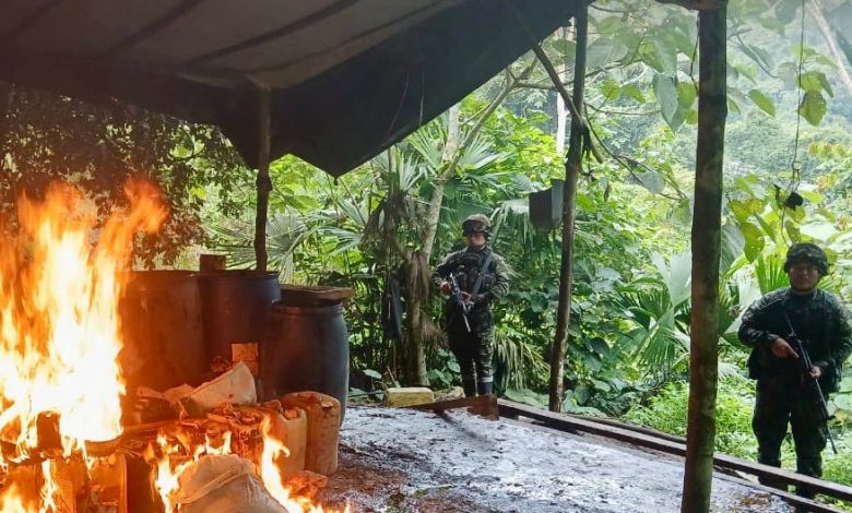 Laboratorio del Clan del Golfo. Foto/ Ejército
