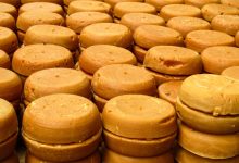 Pliego de cargos contra exalcalde y siete exconcejales de Campamento. Foto/Procuraduría