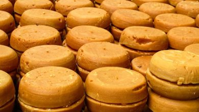 Pliego de cargos contra exalcalde y siete exconcejales de Campamento. Foto/Procuraduría