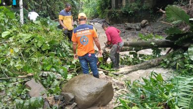10 municipios están afetactados. Foto/ Gobernación