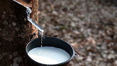 Sector cauchero rompió cifras récord en 2025