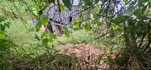 Catro personas afectadas por deslizamiento de tierra en Altavista