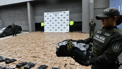 Incautan un cargamento de 2.227 kilogramos de marihuana tipo creepy Foto/Policía