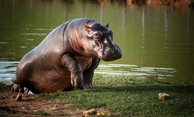 El debate será el 22 de abril. Foto/Minambiente