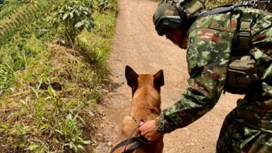 El Ejército destruyó un explosivo instalado por presuntos integrantes del Clan del Golfo. Foto/Ejército