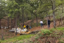 Autoridades adelantaron operativos tras reciente incendio. Foto/ Alcaldía
