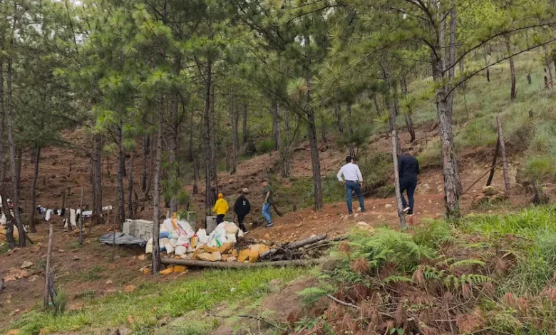 Autoridades adelantaron operativos tras reciente incendio. Foto/ Alcaldía