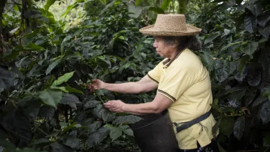 Madres emprendedoras sostienen miles de negocios en Colombia