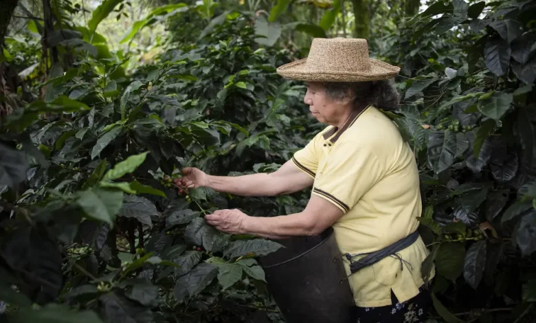 Madres emprendedoras sostienen miles de negocios en Colombia