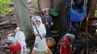 Senador denuncia posible acto de brujería dejado en ingreso a su vivienda.