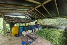Desmatelado laboratorio de coca en Antioquia. Foto/Ejército
