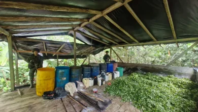 Desmatelado laboratorio de coca en Antioquia. Foto/Ejército