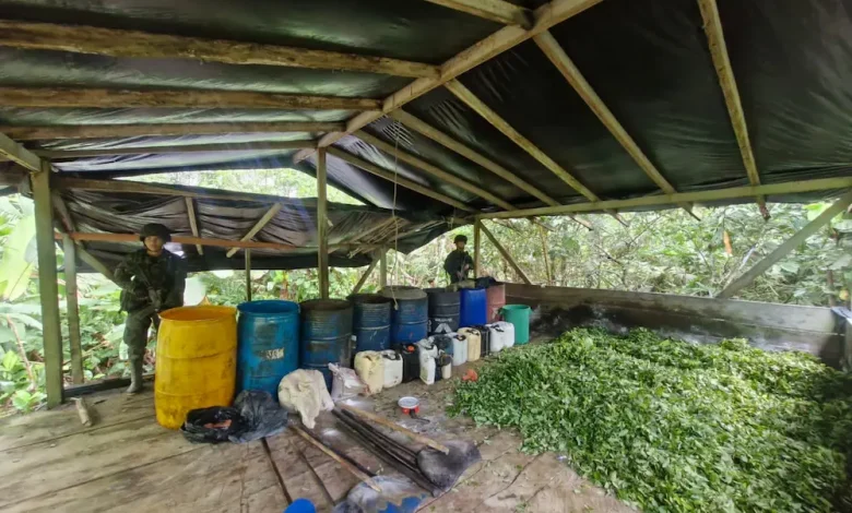 Desmatelado laboratorio de coca en Antioquia. Foto/Ejército