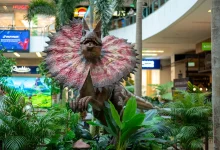 Dinosaurios en el Tesoro
